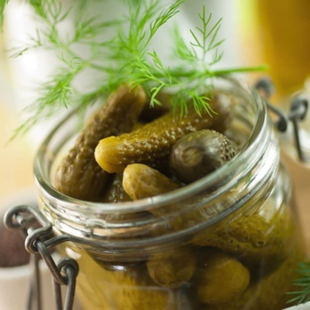 Essiggurken mit Dill.